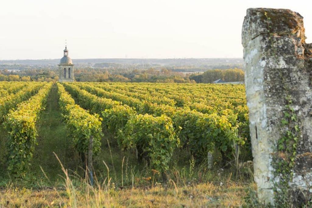 Ferienwohnung Studio Au Coeur Des Vignes Montlouis-sur-Loire Exterior foto