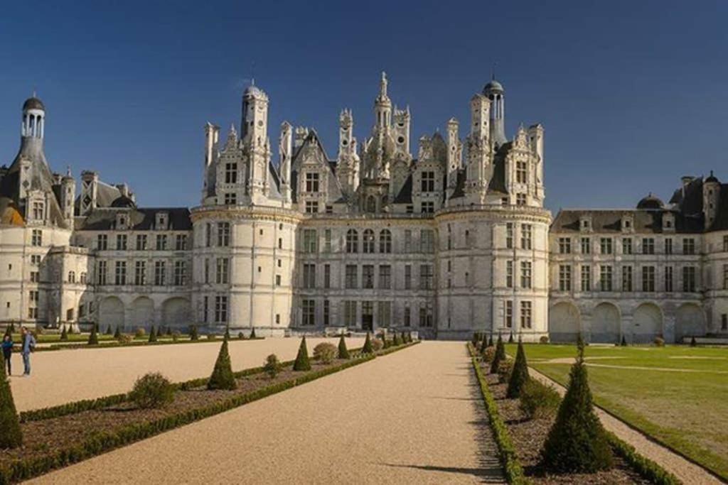 Ferienwohnung Studio Au Coeur Des Vignes Montlouis-sur-Loire Exterior foto